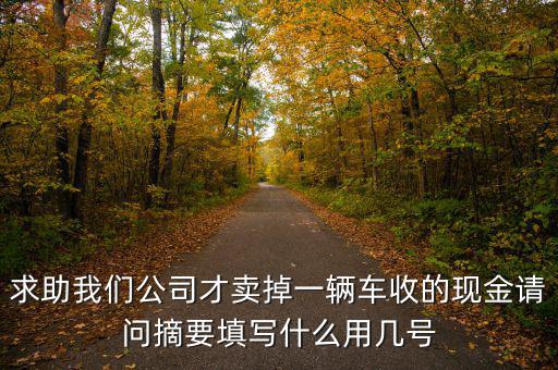 求助我們公司才賣掉一輛車收的現(xiàn)金請(qǐng)問摘要填寫什么用幾號(hào)