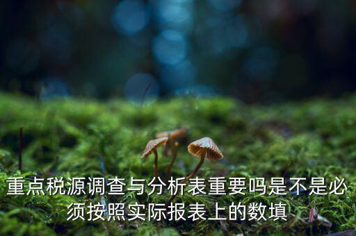 重點稅源分析分析什么，重點稅源的介紹