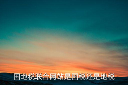 國地稅聯(lián)合辦稅是什么意思，國地稅聯(lián)合稅費申報什么意思