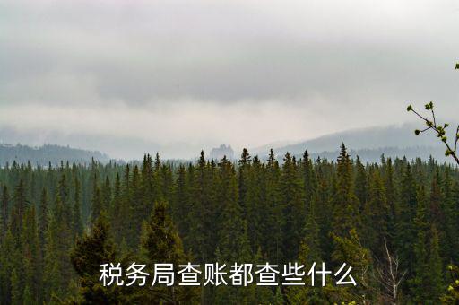 稅務(wù)局查稅一般查什么，請問一下老師一般稅務(wù)局人來查帳一般查什么的