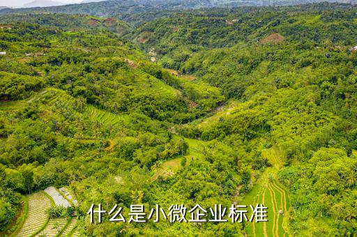 小型微利企業(yè)標準是什么，微小型企業(yè)的標準是什么