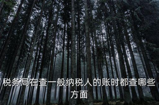 稅務局在查一般納稅人的賬時都查哪些方面