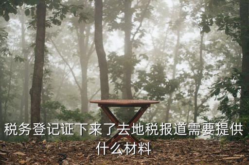 去地稅局報道需要什么手續(xù)，稅務登記證下來了去地稅報道需要提供什么材料