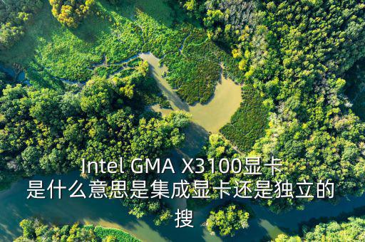國稅集成理念是什么意思，Intel GMA X3100顯卡 是什么意思是集成顯卡還是獨(dú)立的  搜