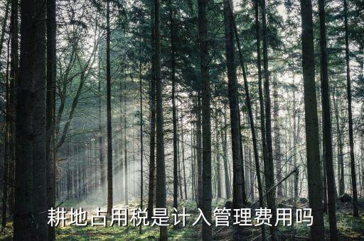 耕地占用稅是什么意思，耕地占用稅是計(jì)入管理費(fèi)用嗎