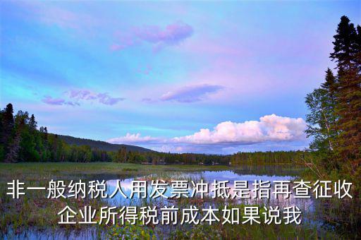 什么是非一般納稅人，非一般納稅人用發(fā)票沖抵是指再查征收企業(yè)所得稅前成本如果說(shuō)我