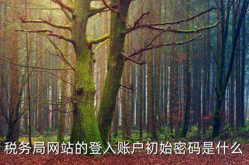 浙江國稅登入密碼是什么，稅務(wù)局網(wǎng)站的登入賬戶初始密碼是什么