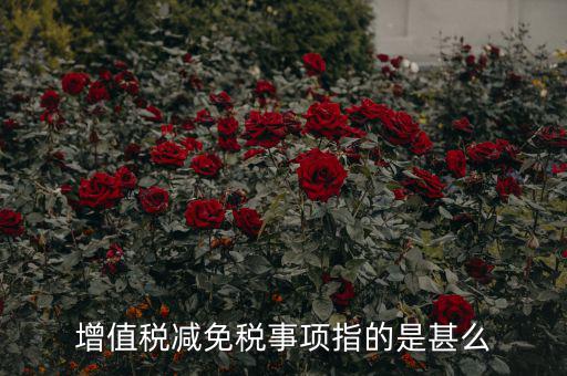 什么是減免稅申報(bào)，增值稅減免稅事項(xiàng)指的是甚么