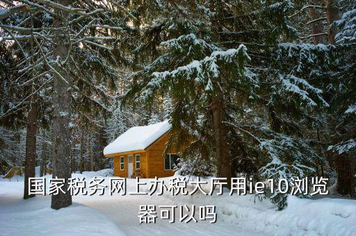 國稅用什么瀏覽器，山東國稅網(wǎng)上申報系統(tǒng)需要什么瀏覽器