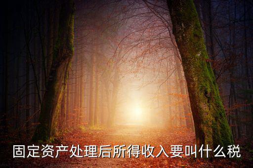 什么叫做試點納稅人，固定資產(chǎn)處理后所得收入要叫什么稅