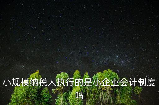小規(guī)模納稅人什么制度，我國增值稅法對小規(guī)模納稅人實行什么法