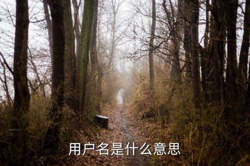 個稅用戶名是指什么意思，用戶名是什么意思
