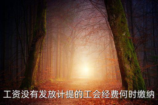 工會經(jīng)費一般什么時候交，工資沒有發(fā)放計提的工會經(jīng)費何時繳納