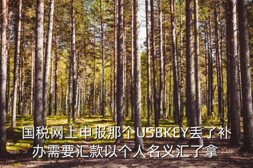 稅務ukey是什么意思，國稅網(wǎng)上申報那個USBKEY丟了補辦需要匯款以個人名義匯了拿