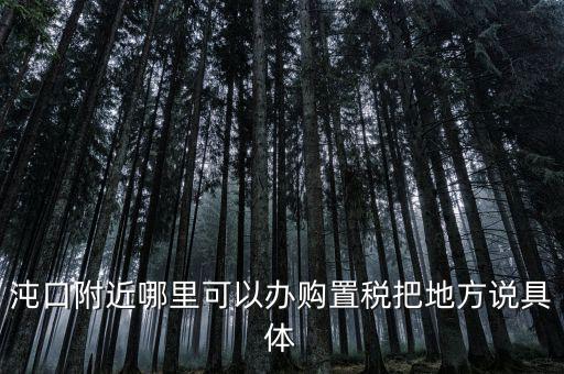 漢陽稅務(wù)局什么車，沌口附近哪里可以辦購置稅把地方說具體