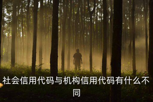 社會信用代碼與機(jī)構(gòu)信用代碼有什么不同