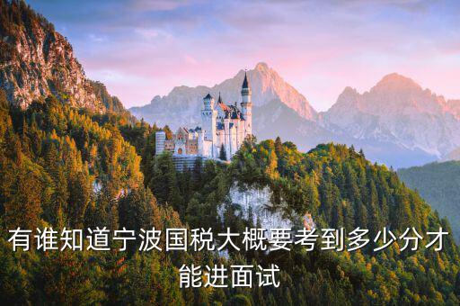 國(guó)稅 要求什么素質(zhì)，國(guó)稅公務(wù)員面試
