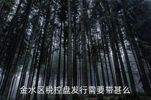 稅盤發(fā)行要帶什么資料，去國稅局辦發(fā)行需要什么資料