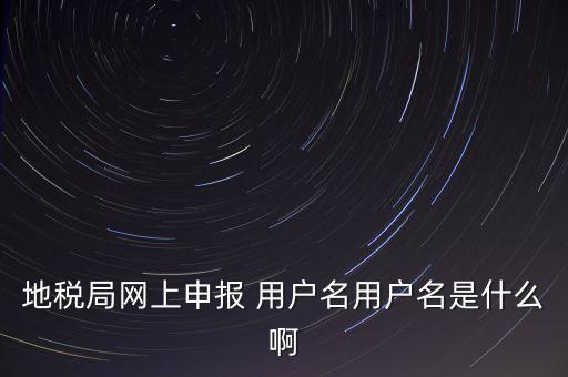 地稅局網上申報 用戶名用戶名是什么啊