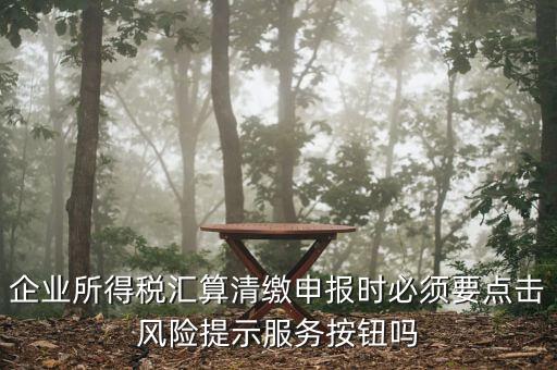 企業(yè)所得稅匯算清繳申報時必須要點擊風險提示服務按鈕嗎