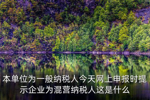 本單位為一般納稅人今天網(wǎng)上申報(bào)時提示企業(yè)為混營納稅人這是什么