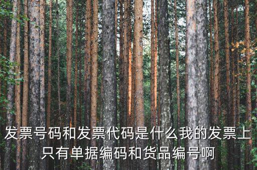 發(fā)票代碼和發(fā)票號(hào)碼是什么，發(fā)票代碼和發(fā)票號(hào)碼有什么用