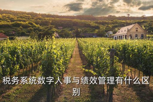 什么是稅務(wù)績效管理工作亮點(diǎn)，績效管理是什么