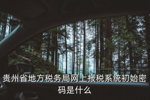 黑龍江電子稅務(wù)是什么，貴州省地方稅務(wù)局網(wǎng)上報(bào)稅系統(tǒng)初始密碼是什么