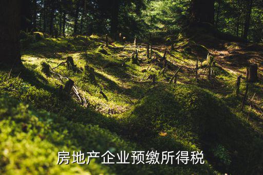 房地產(chǎn)預(yù)繳是什么意思，房?jī)r(jià)預(yù)交1萬(wàn)抵2萬(wàn)是什么意思