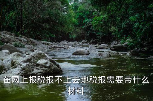 網(wǎng)上報(bào)稅反寫失敗帶什么手續(xù)，去國稅局查看反寫需要帶什么