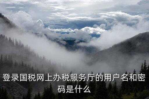 電子稅務(wù)局登陸用戶名是什么，登錄國稅網(wǎng)上辦稅服務(wù)廳的用戶名和密碼是什么
