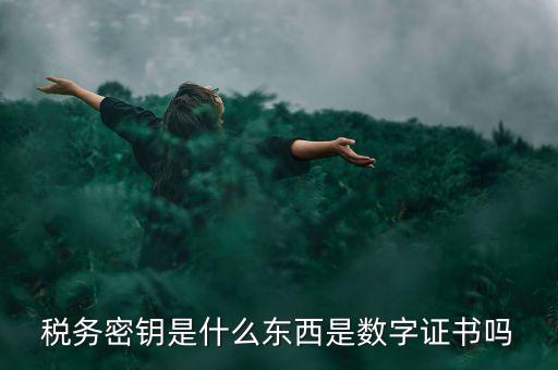稅務(wù)密鑰是什么東西是數(shù)字證書(shū)嗎