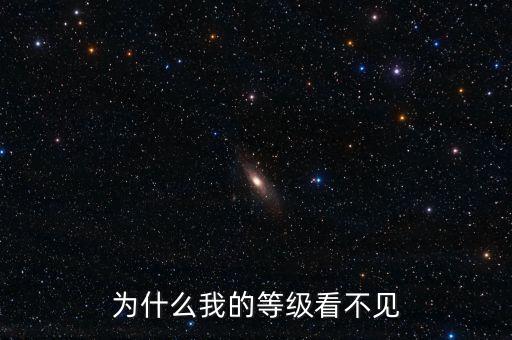 為什么無法查詢到納稅等級，為什么我的等級看不見