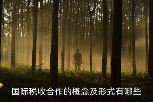 國際稅源是什么意思，國際稅收合作的概念及形式有哪些