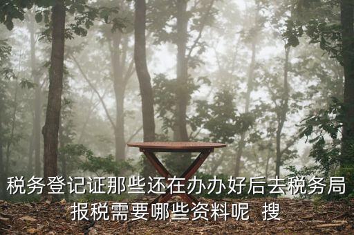 新辦企業(yè)稅務(wù)局需要什么資料，稅務(wù)登記證那些還在辦辦好后去稅務(wù)局報(bào)稅需要哪些資料呢  搜