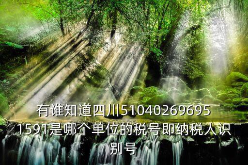 四川國稅廳帳號是什么，有誰知道四川510402696951591是哪個單位的稅號即納稅人識別號