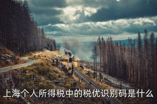 上海個(gè)人所得稅中的稅優(yōu)識別碼是什么