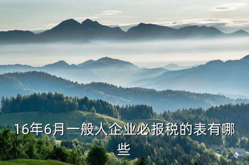 16年6月一般人企業(yè)必報稅的表有哪些