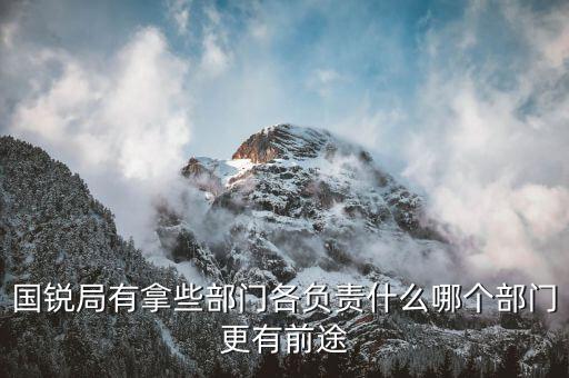國銳局是辦什么，深圳公司入黑名單注銷吊銷