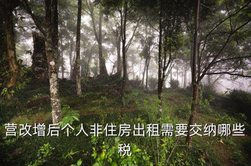 個人出租非房屋交什么稅，您好個人出租非住房繳納房產稅按照2019新政策是不是租賃收入