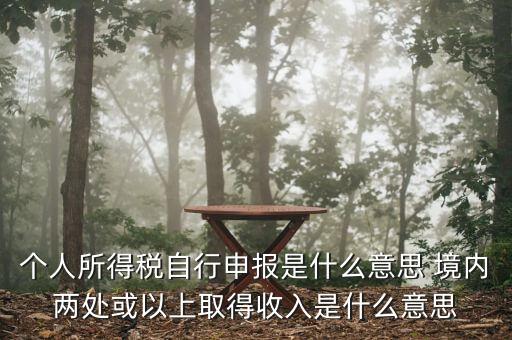 個人所得稅自行申報是什么意思 境內(nèi)兩處或以上取得收入是什么意思