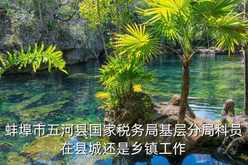 懷遠(yuǎn)稅務(wù)局在什么地方，蚌埠市五河縣國(guó)家稅務(wù)局基層分局科員在縣城還是鄉(xiāng)鎮(zhèn)工作