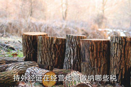 江蘇企業(yè)開外經(jīng)證要交什么稅，持外經(jīng)證在經(jīng)營(yíng)地需繳納哪些稅