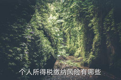 個人所得稅繳納風險有哪些