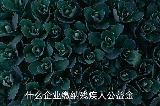 什么企業(yè)需申報(bào)殘疾人保障金，哪些單位應(yīng)該繳納殘疾人保障基金