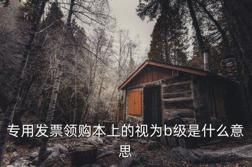專用發(fā)票領(lǐng)購本上的視為b級(jí)是什么意思