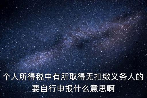 個人所得稅中有所取得無扣繳義務人的要自行申報什么意思啊
