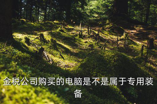金稅設(shè)備什么時候買，金稅公司購買的電腦是不是屬于專用裝備
