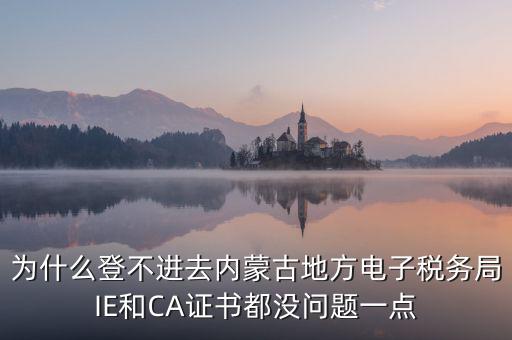 為什么電子稅務(wù)局登錄不了，山西省電子稅務(wù)局在電腦上登陸不上為啥呢
