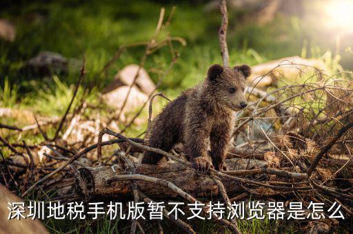 深圳國稅網(wǎng)站用什么瀏覽器打開，國稅網(wǎng)為什么看不到增值稅申報表平時一打開這個頁面就可以點擊看